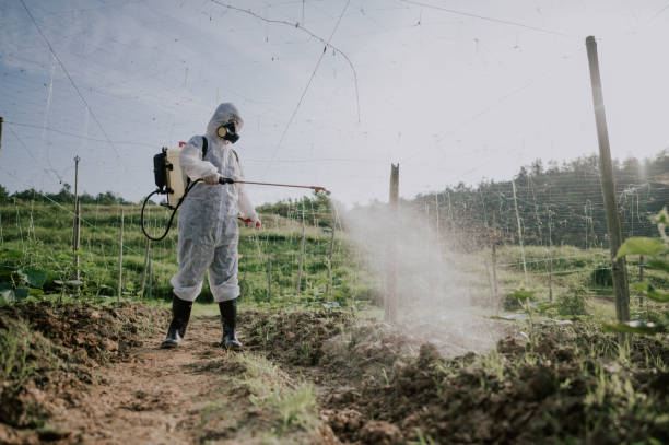 Best Pest Prevention Services  in Eureka, MT