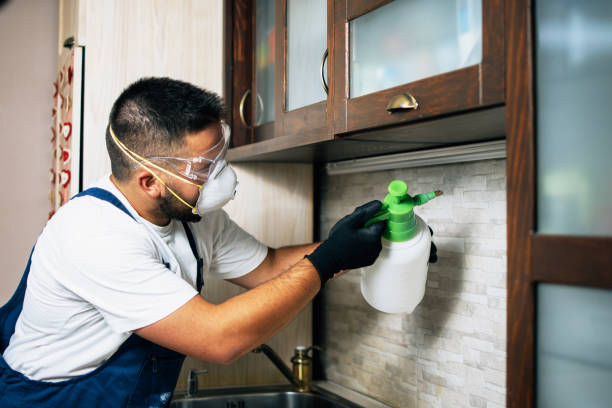 Professional Pest Control in Eureka, MT