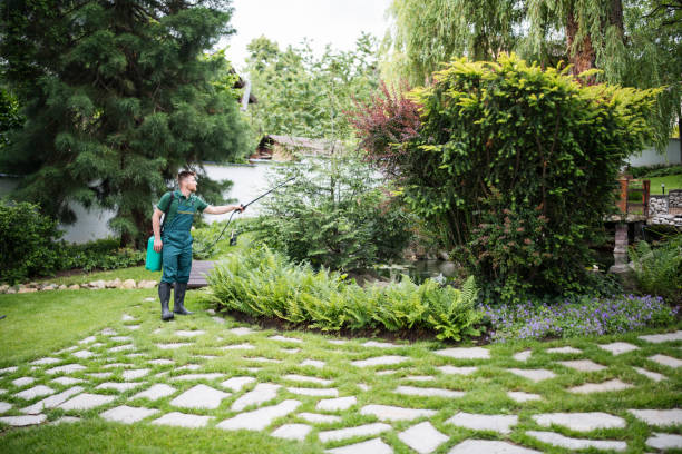 Best Local Pest Control Services  in Eureka, MT