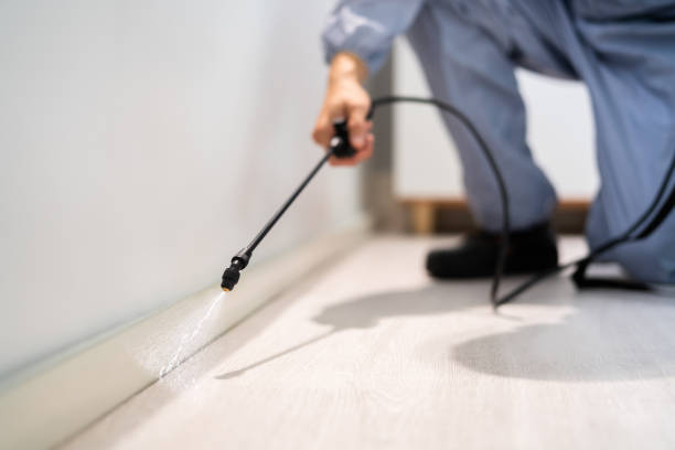 Best Pest Prevention Services  in Eureka, MT