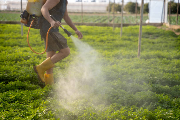 Best Mosquito Control Services  in Eureka, MT