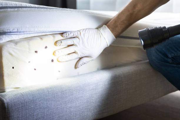 Best Exterminator Services  in Eureka, MT