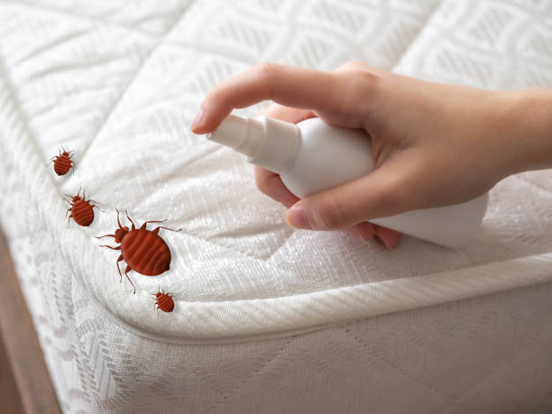 Best Flea Control Services  in Eureka, MT