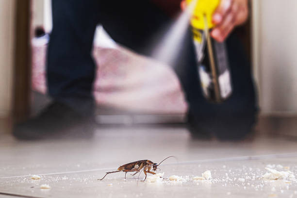 Best Emergency Pest Control  in Eureka, MT