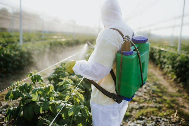 Best Affordable Pest Control Services  in Eureka, MT